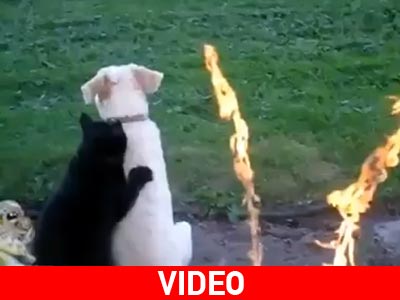 Μασάζ κανείς;