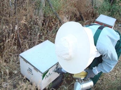 Έκλεβαν μελισσοκυψέλες σε Αττική, Αρκαδία και Αργολίδα
