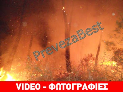 Πρέβεζα: Φωτιά στο δάσος του Μονολιθίου