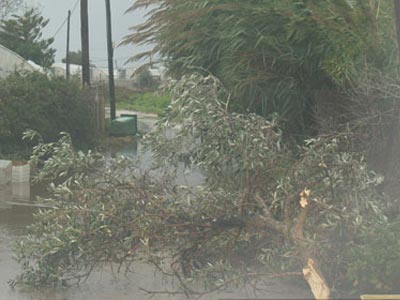 Καταγράφουν τις ζημιές από την κακοκαιρία στην Πρέβεζα
