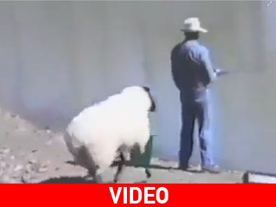 Τον έστειλε για ψάρεμα