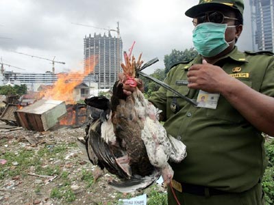 Κίνα: Δύο νεκροί από τη γρίπη των πτηνών
