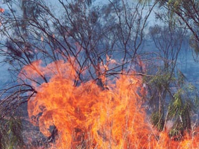 Πυρκαγιά στα Μέγαρα