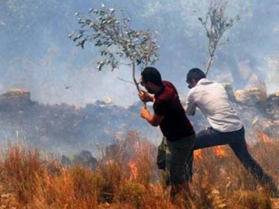 Πυρκαγιά στην Αρκαδία