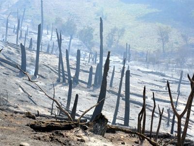 Τέλη Αυγούστου οι αποζημιώσεις στους πυρόπληκτους της Χαλκιδικής