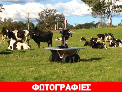 Ρομπότ-τσοπάνης στο Σίδνεϊ!