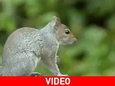 «Επικίνδυνες αποστολές»