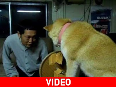 Σκύλος βρίσκει τρόπους για να μην τον φιλάει ο ιδιοκτήτης του