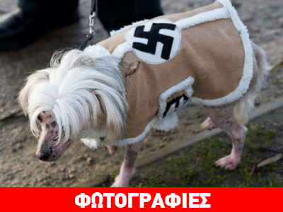 Έντυσε τον σκύλο του με ναζιστικά σύμβολα!