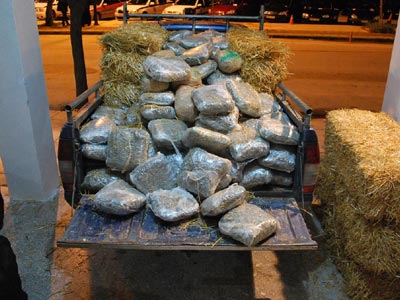 Τεράστιες ποσότητες χασίς μέσα σε ξύλα και ελιές