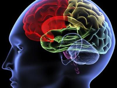 Τι να «ταΐσω» το μυαλό μου;