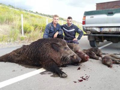 Καμαρώνουν πάνω από τα πτώματα