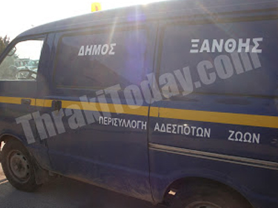 Ξάνθη: Επιχείρηση «σκούπα» για αδέσποτα