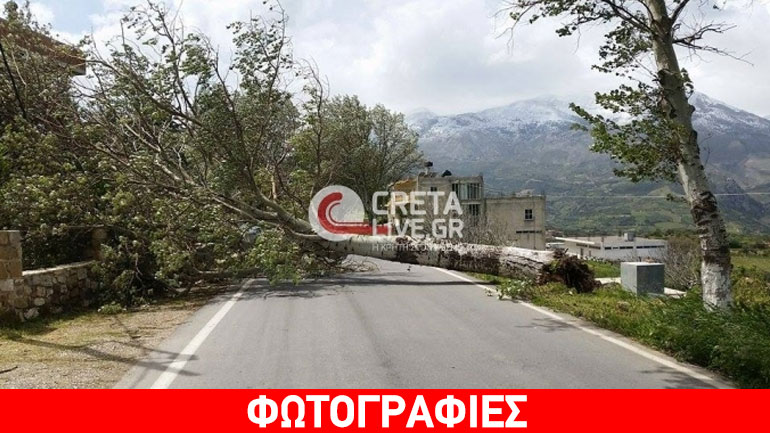 Ηράκλειο: Ο αέρας «ξήλωσε» και δέντρα