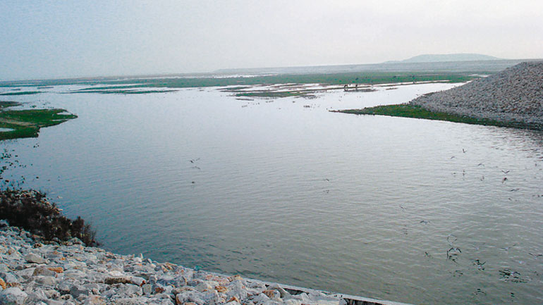 Θεσσαλία: Περιβαλλοντική αναβάθμιση στη λίμνη Κάρλα