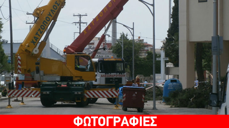 Κόπηκαν δέντρα λόγω επικινδυνότητας στην Κομοτηνή