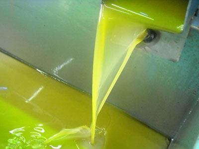 Κρήτη: Κατρακυλά η τιμή του ελαιόλαδου