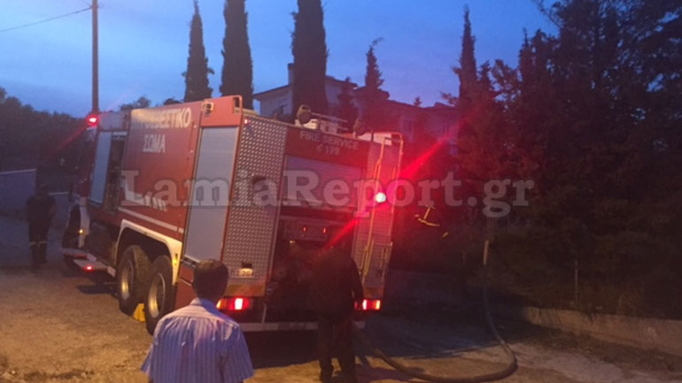 Λαμία: Πυρκαγιά στον Αφανό