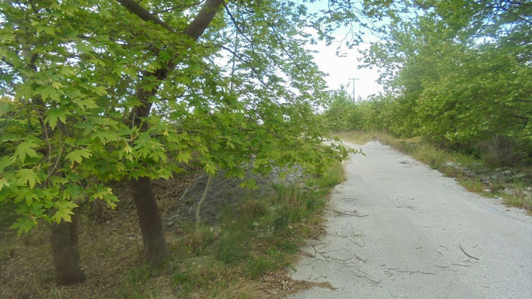 Λύθηκε το μυστήριο με το νεαρό που είχε βρεθεί κρεμασμένος στο Λιτόχωρο