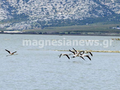Ανησυχία για το φυσικό περιβάλλον της λίμνης Κάρλα