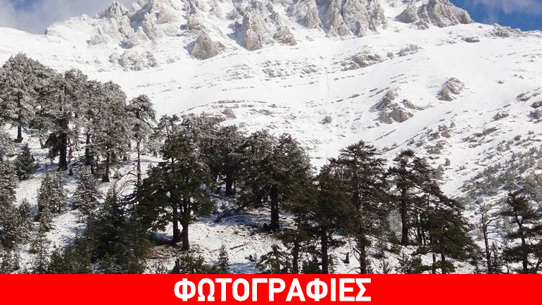 Χιόνισε στον Όλυμπο