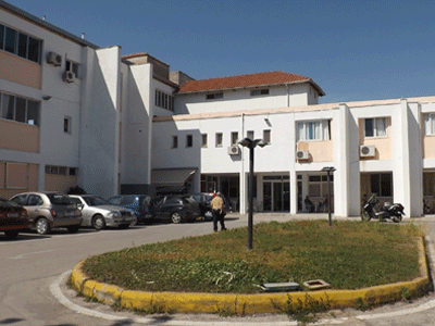 Πρέβεζα: Σκυλιά έστειλαν στο νοσοκομείο ηλικιωμένη γυναίκα