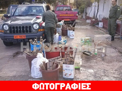 Ρόδος: Φυλάκιση επτά μηνών για λαθροθήρα