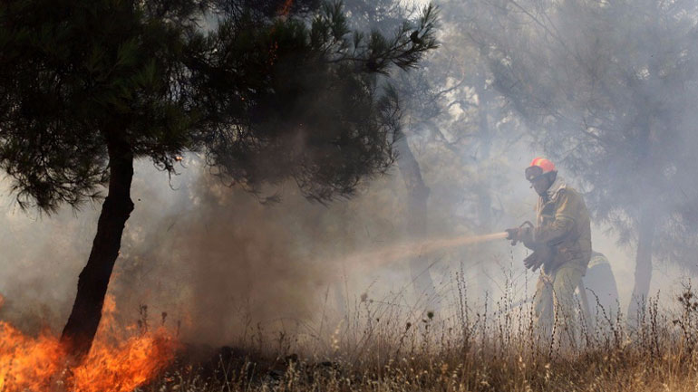 Στάχτη έγιναν 2.000 στρέμματα δασικής έκτασης στη Σάμο
