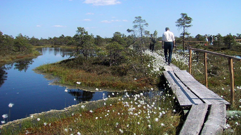 Συναγερμός για τη φύση στην Ευρώπη – Οι κίνδυνοι της απορρύθμισης Γιούνκερ