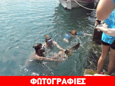 Επιχείρηση διάσωσης για τραυματισμένη θαλάσσια χελώνα στο Αργοστόλι