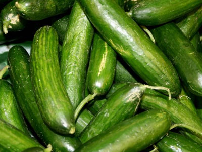 Τόνοι κηπευτικών στα σκουπίδια λόγω του ρωσικού εμπάργκο