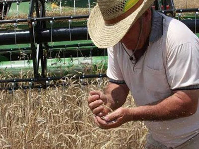 Απλήρωτοι οι αγρότες στο νομό Λάρισας