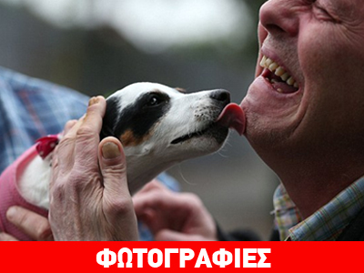 Συγκινητική κινητοποίηση πολιτών μετά από εμπρησμό σε καταφύγιο αδέσποτων