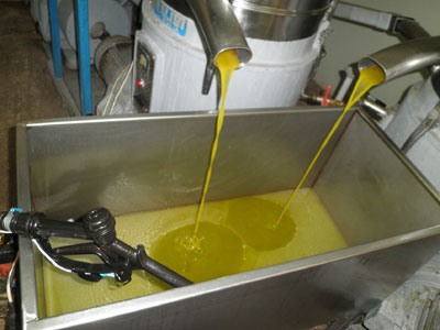 Μυτιλήνη: Μόνο πέντε ελαιοτριβεία έχουν μόνιμη άδεια λειτουργίας