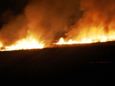 Ξάνθη: Κάηκαν 30 στρέμματα παραλίμνιας βλάστησης στο Σέλινο