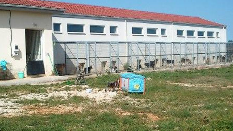 Ιωάννινα: Αντιπαράθεση για την κατάσταση στο καταφύγιο αδέσποτων