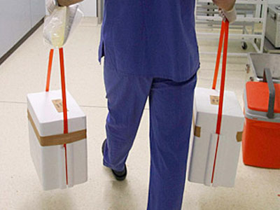 Χάρισε ζωή με τον θάνατό της