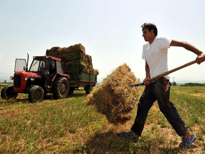 Ξεκινά η καταβολή της ενιαίας ενίσχυσης στους αγρότες