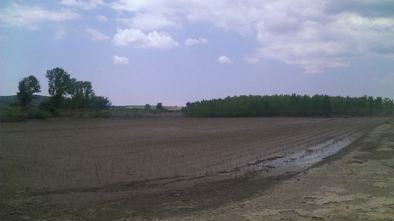 Στήριξη από τις τράπεζες για τους αγρότες του Έβρου ζητά ο ΕΛΓΑ