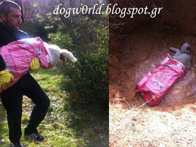 Δεκάδες κουφάρια σκύλων βρέθηκαν στη Βαρυμπόμπη