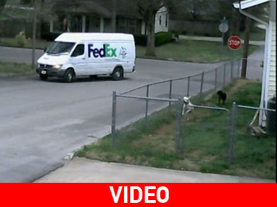 Το «δράμα» ενός υπαλλήλου ταχυμεταφορών