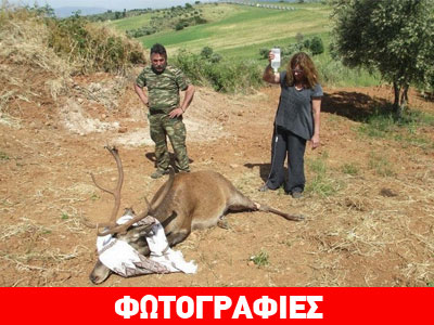 Θήβα: Τραυματισμένο ελάφι στο κανάλι του Μόρνου