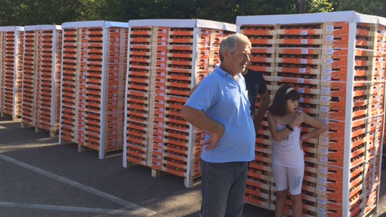 Αγρίνιο: Είκοσι τόνοι ροδάκινα σε δικαιούχους του Κοινωνικού Παντοπωλείου