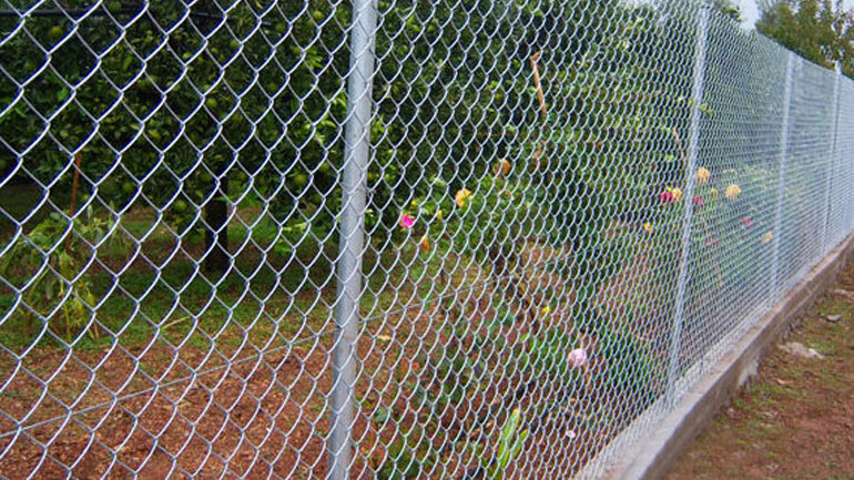 Ηλεία: Οι κλέφτες ξήλωσαν τον φτάχτη και έφυγαν