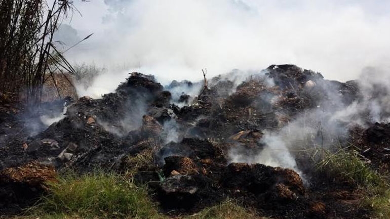Φωτιά ξέσπασε στην παράνομη χωματερή των Φιλιατρών