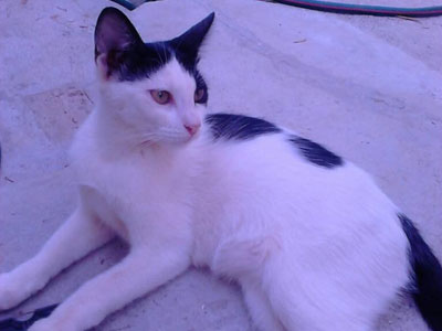 Χαρίζεται η τρυφερή Φλωρίτσα