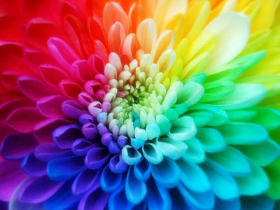 Τα χρώματα που θα κυριαρχήσουν τη φθινοπωρινή σεζόν 2011-2012