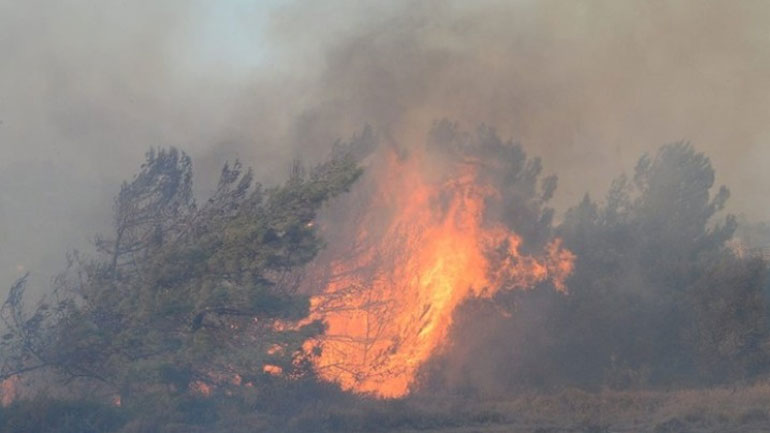 Ρόδος: Συνελήφθη 60χρονος για εμπρησμό