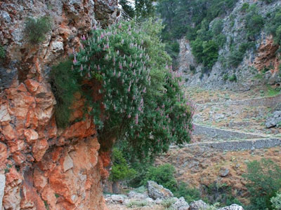 Κρήτη: Συνεχίζονται οι έρευνες για τον Γάλλο τουρίστα