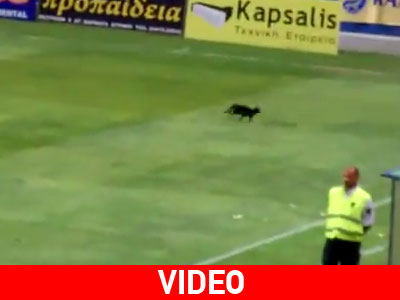 Η μαύρη γάτα σταμάτησε τον Ολυμπιακό;